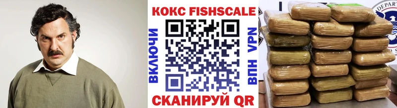 Cocaine FishScale  купить наркотики цена  Коломна 