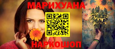 тгк Кингисепп