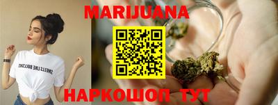 тгк Кингисепп