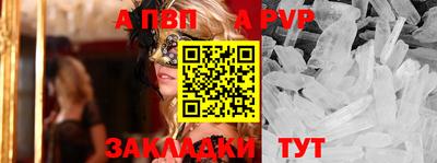 тгк Кингисепп