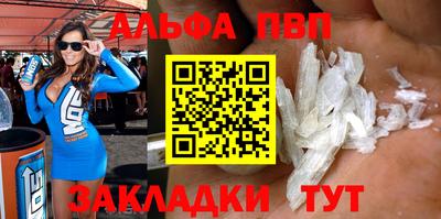 тгк Кингисепп