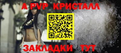 тгк Кингисепп