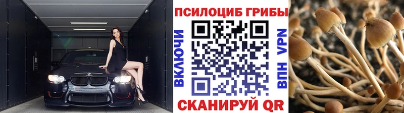 Псилоцибиновые грибы прущие грибы  Коломна 