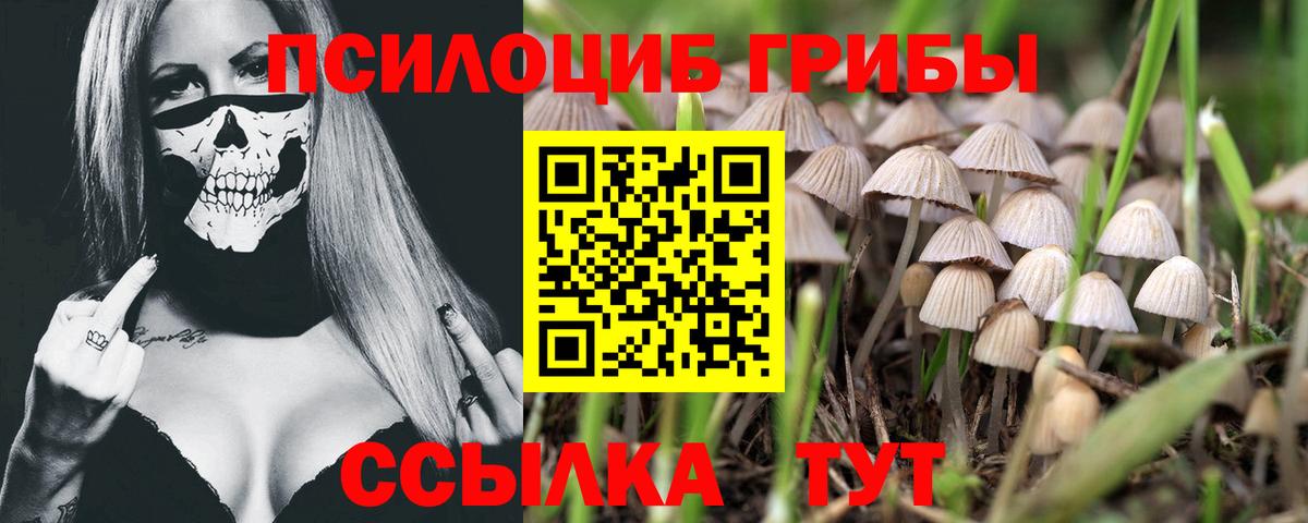 Галлюциногенные грибы MAGIC MUSHROOMS Коломна