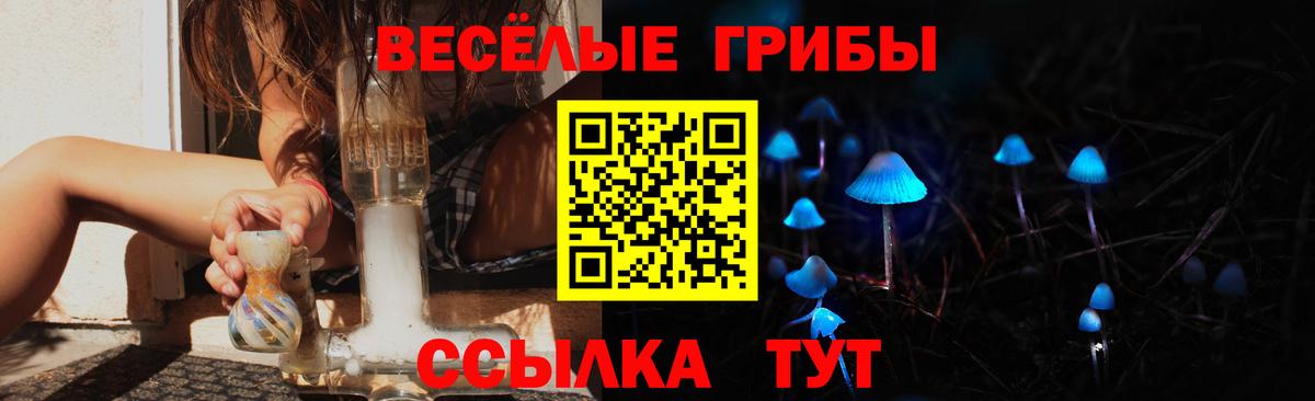 Коломна  Псилоцибиновые грибы прущие грибы  Вход с VPN  Псилоцибиновые грибы Psilocybine cubensis 