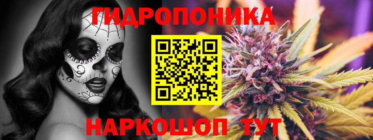 Конопля гибрид Коломна